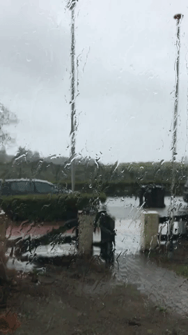 karengregory-cohen  GIF