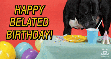 belated happy birthday dog