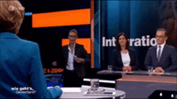 karen__71 alice talkshow afd flucht GIF