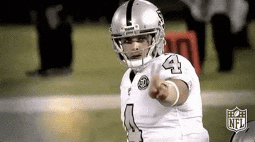 Oakland Raiders No GIF by NFL