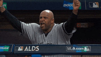 New York Yankees Yes GIF by MLB