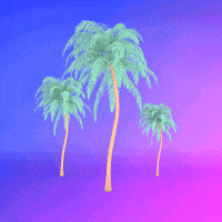 palm tree GIF by Last Lauf