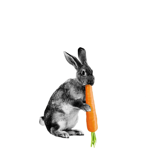 You like carrots  Or no