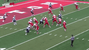 houston cougars wow GIF by Coogfans