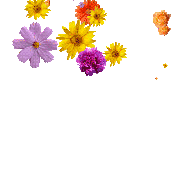 The Beauty Of Flowers In Gif Stickers