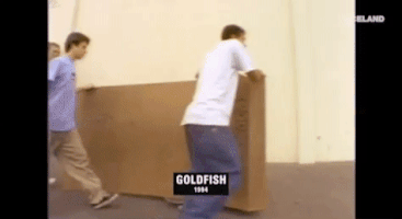 200.gif?cid=fc005b089de68d354febb4eac22d16f07097a27b12a63101&rid=200.gif&ct=g