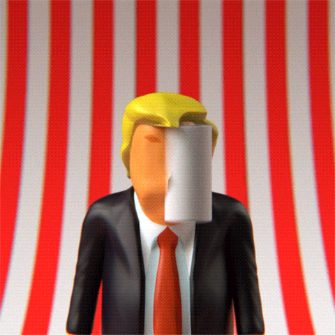 trump paper towels fuck off GIF by somenerv
