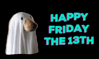Friday The 13Th Dog GIF by Nebraska Humane Society