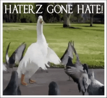 ewieeinfach Haterz GIF