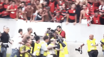 clube de regatas do flamengo soccer GIF by Flamengo