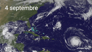 ledevoir hurricane irma ouragan GIF