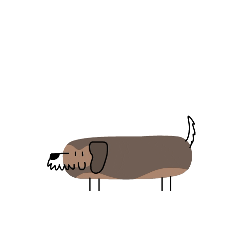 sausage dog GIF by CsaK