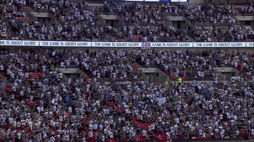 london football GIF by Tottenham Hotspur