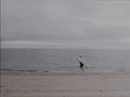 happy old school GIF by Slow Dancer