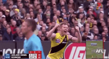 Aussie Rules GIF by AFL