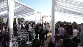 redeyedspy  GIF