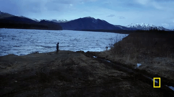 life below zero GIF by National Geographic Channel