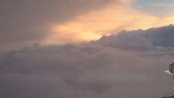 anniesummerall  GIF
