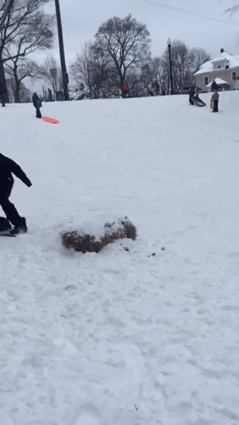Snow Fail GIF by America's Funniest Home Videos - Find & Share on GIPHY