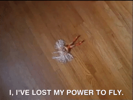 action league now nicksplat GIF