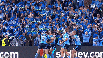 Celebrate New South Wales GIF by NRL