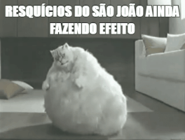 prefeituradosalvador  GIF