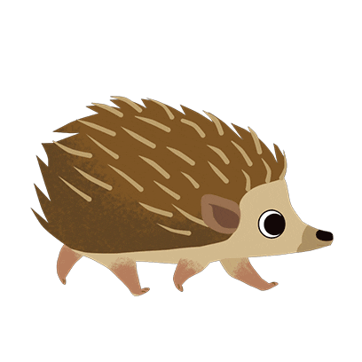 Run Hedgehog GIF by Puffin Rock - Find & Share on GIPHY
