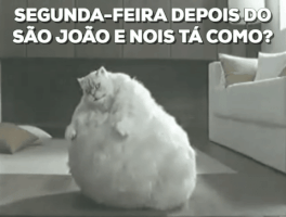 prefeituradosalvador  GIF