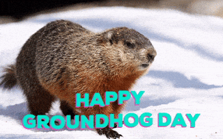 Groundhog Day GIF by Nebraska Humane Society - Find & Share on GIPHY