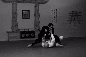 Bjj Jiu Jitsu GIF