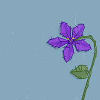 valentines day love GIF by muhahalicia