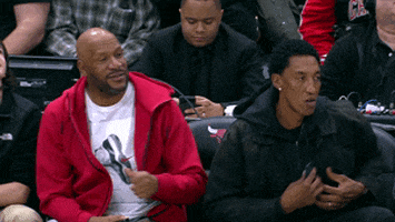 scottie pippen support GIF by NBA