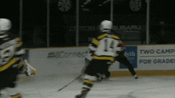 hockey yes GIF by Ottawa 67's