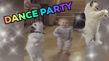 dance party dancing dog GIF by Lauren
