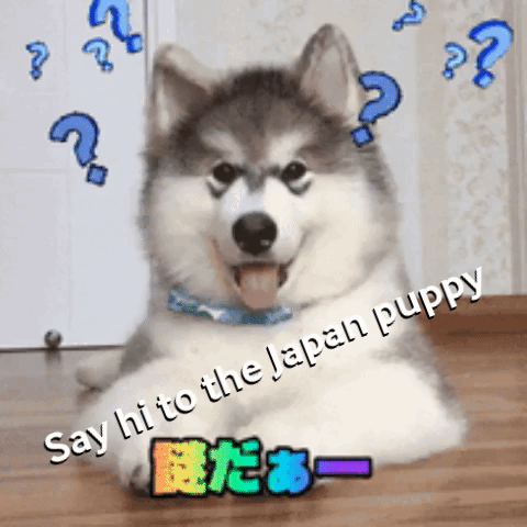 Animated GIF