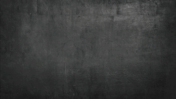 Veterans Day Mission22 GIF