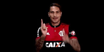 Guerrero GIF by Flamengo