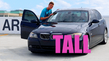 too tall car GIF by Tall Guys Free
