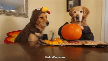 200.gif