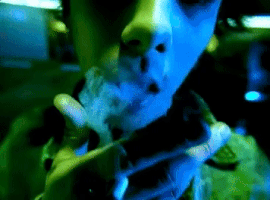 Jesus Of Suburbia GIF by Green Day