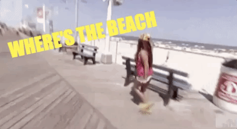 drunk jersey shore GIF cheap vacations