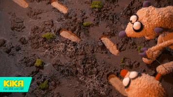 200.gif?cid=fc005b086090da6fc46ebd8a767ab95347e531b66a8c0bb9&rid=200.gif&ct=g