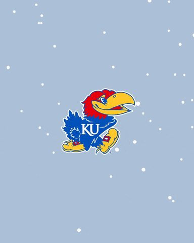 Kansas Jayhawks Snow GIF by University of Kansas
