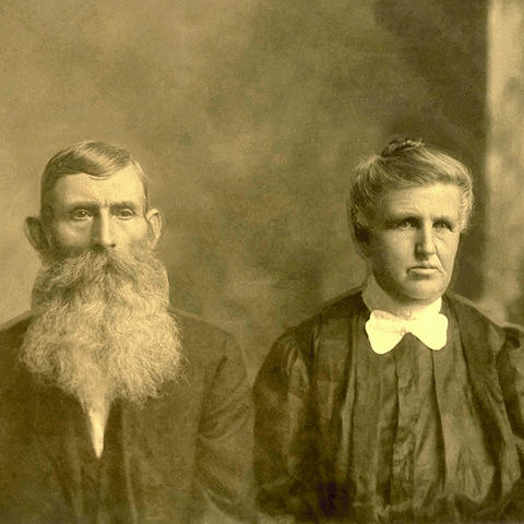 Animation Vintage GIF