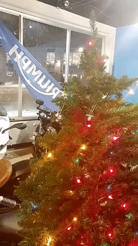 Tree GIF