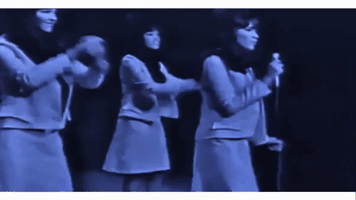 ronnie spector GIF by bjorn