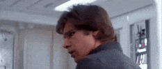 han solo GIF by Star Wars