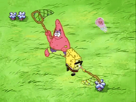 season 1 episode 3 GIF by SpongeBob SquarePants