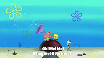 200.gif?cid=fc005b085c240e1328dd1688623c01783bad4d8292533e99&rid=200.gif&ct=g