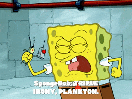 season 6 patty caper GIF by SpongeBob SquarePants